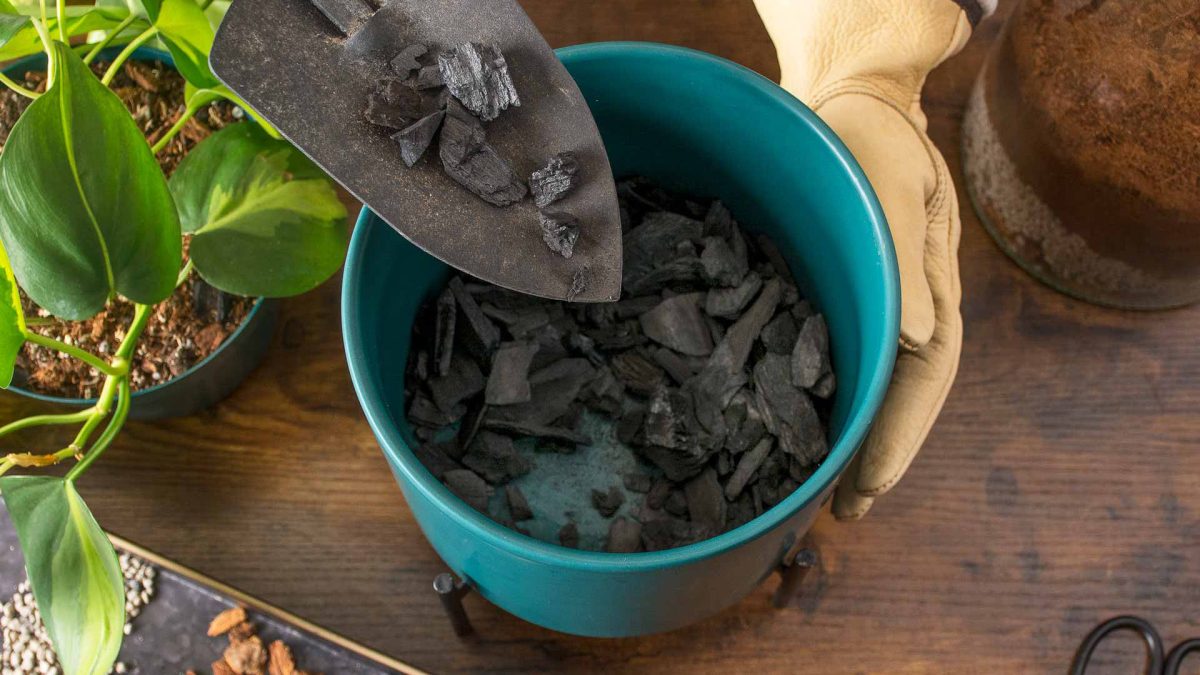 ذغال فعال (کربن اکتیو یا charcoal) در کشاورزی