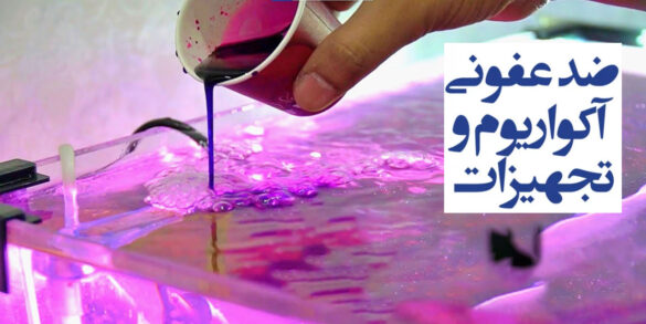پرمنگنات پتاسیم