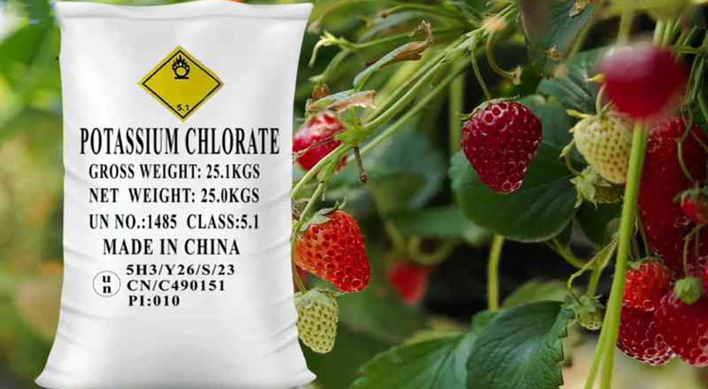 کودهای پتاسیمی