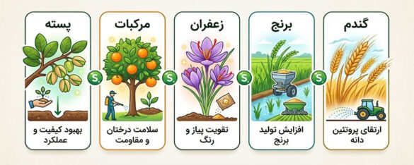 گوگرد